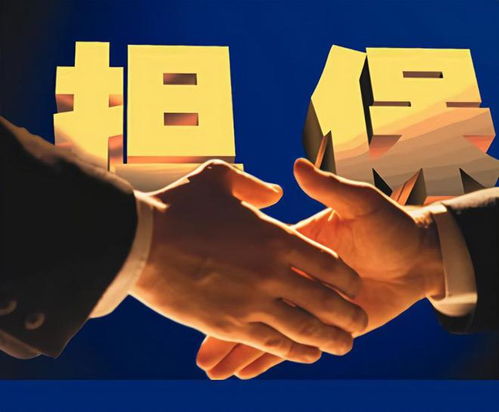 泰安弘澤擔保 勇做服務實體經濟主力軍，破解小微三農融資難題